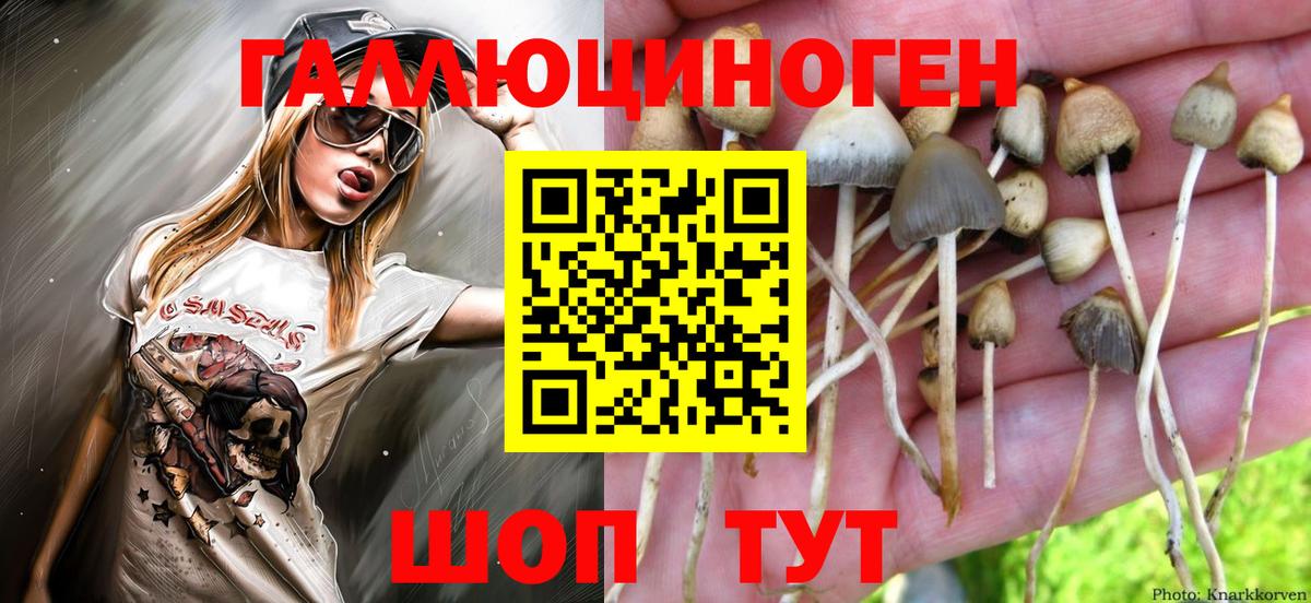 Галлюциногенные грибы мухоморы  Вход с VPN  закладка  Новоуральск  Галлюциногенные грибы Magic Shrooms 
